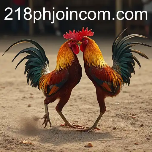 The Controversial World of Cockfighting